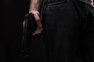 Quais armas são liberadas para posse?
